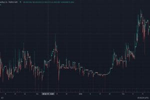 What’s next for LANAcoin Knights? 12 What is next for LANAcoin Knights